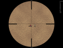 10.png